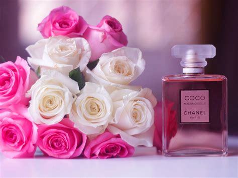 chanel perfume screensaver|coco Chanel wallpaper.